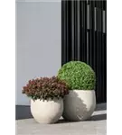 Urban - Jumbo Orb
