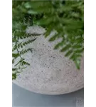 Urban - Jumbo Orb Urban - Jumbo Orb