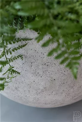 Urban - Jumbo Orb Urban - Jumbo Orb