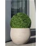 Urban - Jumbo Orb