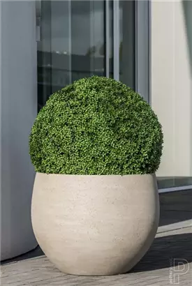 Urban - Jumbo Orb