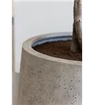 Urban - Jumbo Patt Urban - Jumbo Patt