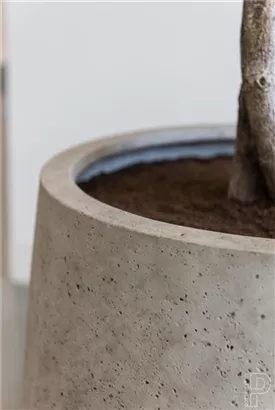 Urban - Jumbo Patt Urban - Jumbo Patt