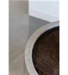 Urban - Jumbo Patt Urban - Jumbo Patt