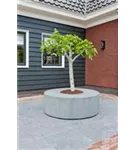 Natural - Jumbo Seating Round Natural - Jumbo Seating Round