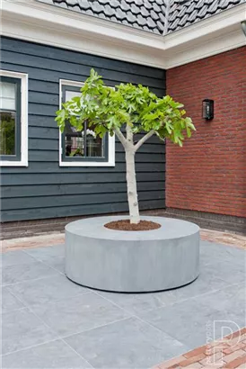 Natural - Jumbo Seating Round Natural - Jumbo Seating Round