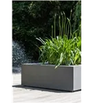 Natural - Jumbo Seating Square