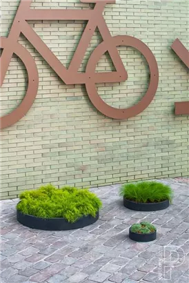 Essential - Max Low Essential - Max Low