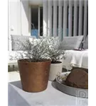 Rough - Mini Bucket