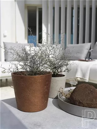 Rough - Mini Bucket