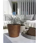 Rough - Mini Bucket