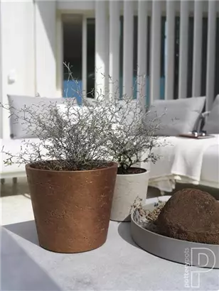 Rough - Mini Bucket