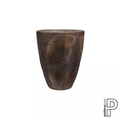 Oyster - Oliver Oyster - Oliver