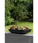 Essential - Pandora Essential - Pandora