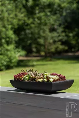 Essential - Pandora Essential - Pandora