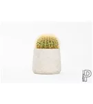 Rough - Patt Rough - Patt