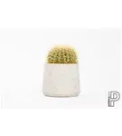 Rough - Patt