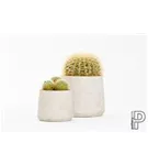 Rough - Patt Rough - Patt