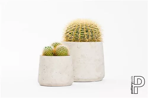 Rough - Patt Rough - Patt