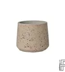 Rough - Patt Rough - Patt