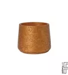 Rough - Patt