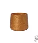 Rough - Patt