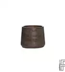 Rough - Patt