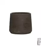 Rough - Patt