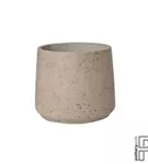 Rough - Patt
