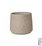 Rough - Patt