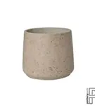 Rough - Patt