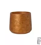 Rough - Patt