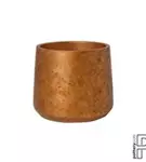 Rough - Patt