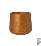 Rough - Patt