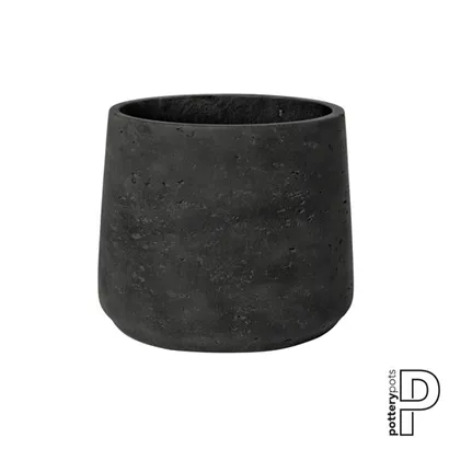 Rough - Patt