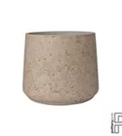 Rough - Patt Rough - Patt