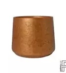 Rough - Patt