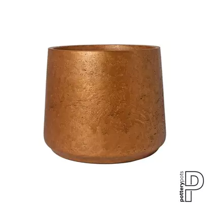 Rough - Patt
