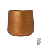 Rough - Patt