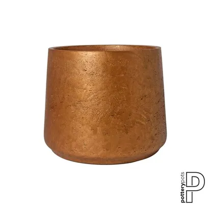Rough - Patt