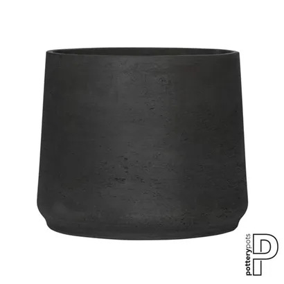 Rough - Patt