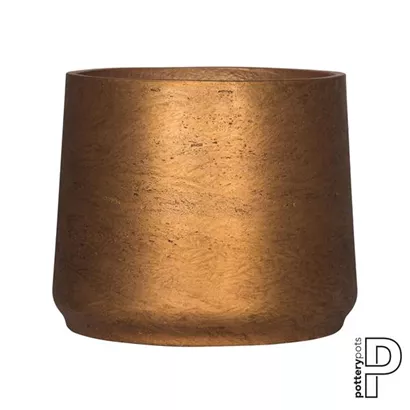 Rough - Patt