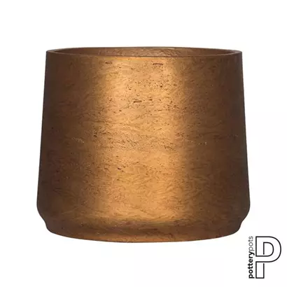 Rough - Patt