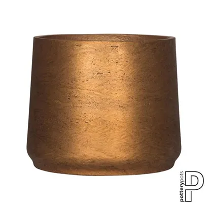 Rough - Patt