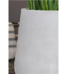 Ridged - Pax Ridged - Pax