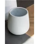 Ridged - Pax Ridged - Pax