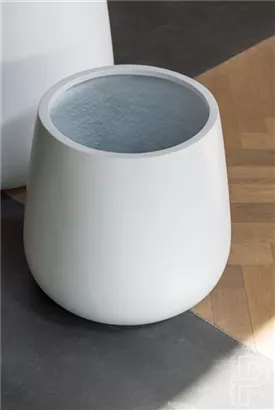 Ridged - Pax Ridged - Pax