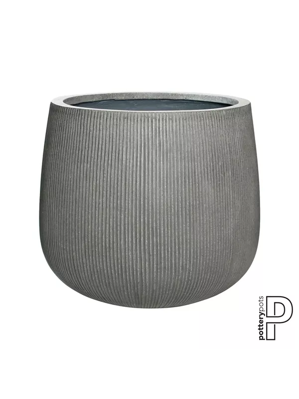 Ridged - Pax