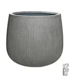 Ridged - Pax Ridged - Pax