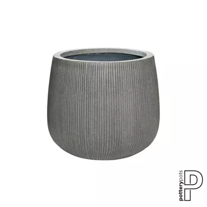 Ridged - Pax